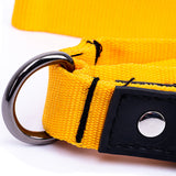Eco Friendly Recycled Inner Tube Vegan Dog Leash
