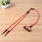 Double Dual Two Heads Dogs Leash 2 Way
