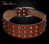 Leather Dog Collar