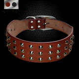 Leather Dog Collar