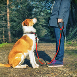 Reflective Large Dog Leash Nylon Rope Pet Running