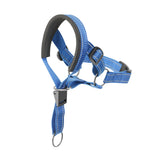 Pet Dog Muzzle Leash