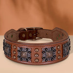 Durable Wide Dog Collar