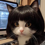 Halloween Pet Wig
