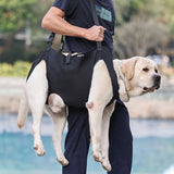 Lift Harness For Large Dog Sling For Whole Body Legs Support