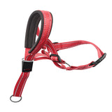 Pet Dog Muzzle Leash