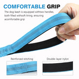 Bungee Dog Leash