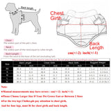 Autumn And Winter Dog Jacket