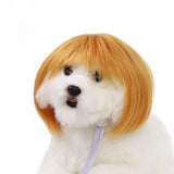 Halloween Pet Wig