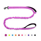 Bungee Dog Leash