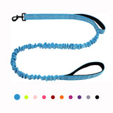 Bungee Dog Leash