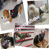 Reflective Personalized Dog Harness