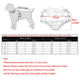 Pet Dog Hiking Jacket