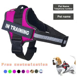 Reflective Personalized Dog Harness