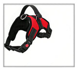 Adjustable Breathable Dog Harness