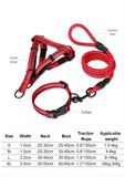 Nylon Harness Collar Leash Three-Piece Set