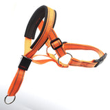 Pet Dog Muzzle Leash