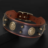 Durable Wide Dog Collar