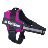 Reflective Personalized Dog Harness