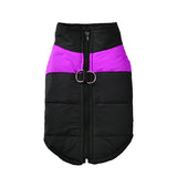 Pet Dog Jacket For All Size Dogs