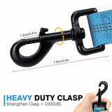 Bungee Dog Leash