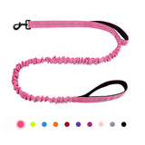 Bungee Dog Leash