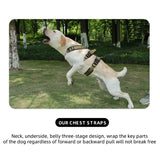 Explosionproof Durable Dogs Harness With Handle