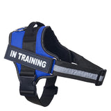 Reflective Personalized Dog Harness