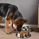 Stainless Steel Dog Bowl