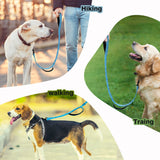 Bungee Dog Leash
