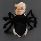 Halloween Dog And  Cat Cosplay Funny Spider Costume