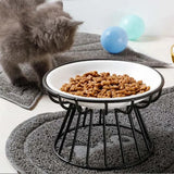 Elevated Pet Feeder