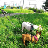 Reflective Dual Dog Leash - No Tangle