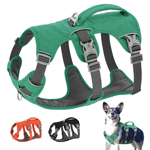 Nylon Reflective Dog Harness