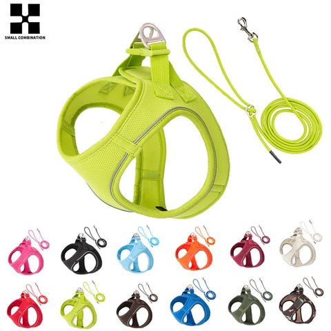 Dog Harness And Leash Set for Small Medium Dogs