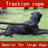 Comfort-Strong 5-Foot Braided Dog Leash