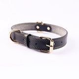 Professional Leather Dog Collars Adjustable