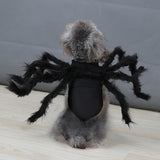 Halloween Dog And  Cat Cosplay Funny Spider Costume