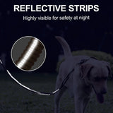 Reflective Shock Absorbing Dog Leashes with Car Seatbelt