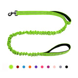 Bungee Dog Leash