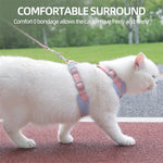 Cozy Soft Cat Harness and Leash for Walking