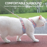 Cozy Soft Cat Harness and Leash for Walking