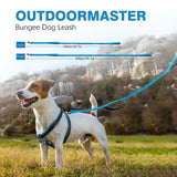 Bungee Dog Leash