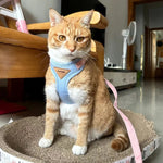 Cozy Soft Cat Harness and Leash for Walking