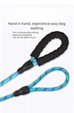 Nylon Harness Collar Leash Three-Piece Set