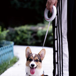 Moestar UFO Retractable Dog Leash Anti-Slip Handle