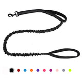 Bungee Dog Leash