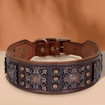 Durable Wide Dog Collar