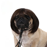 Halloween Pet Wig
