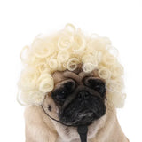 Halloween Pet Wig